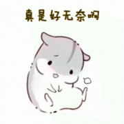 【太原欧美莲】肋软骨隆鼻，全肋、半肋骨隆鼻，该怎么选？