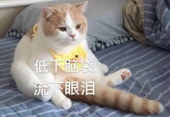 【太原欧美莲】错把眼袋当卧蚕，让你更显老